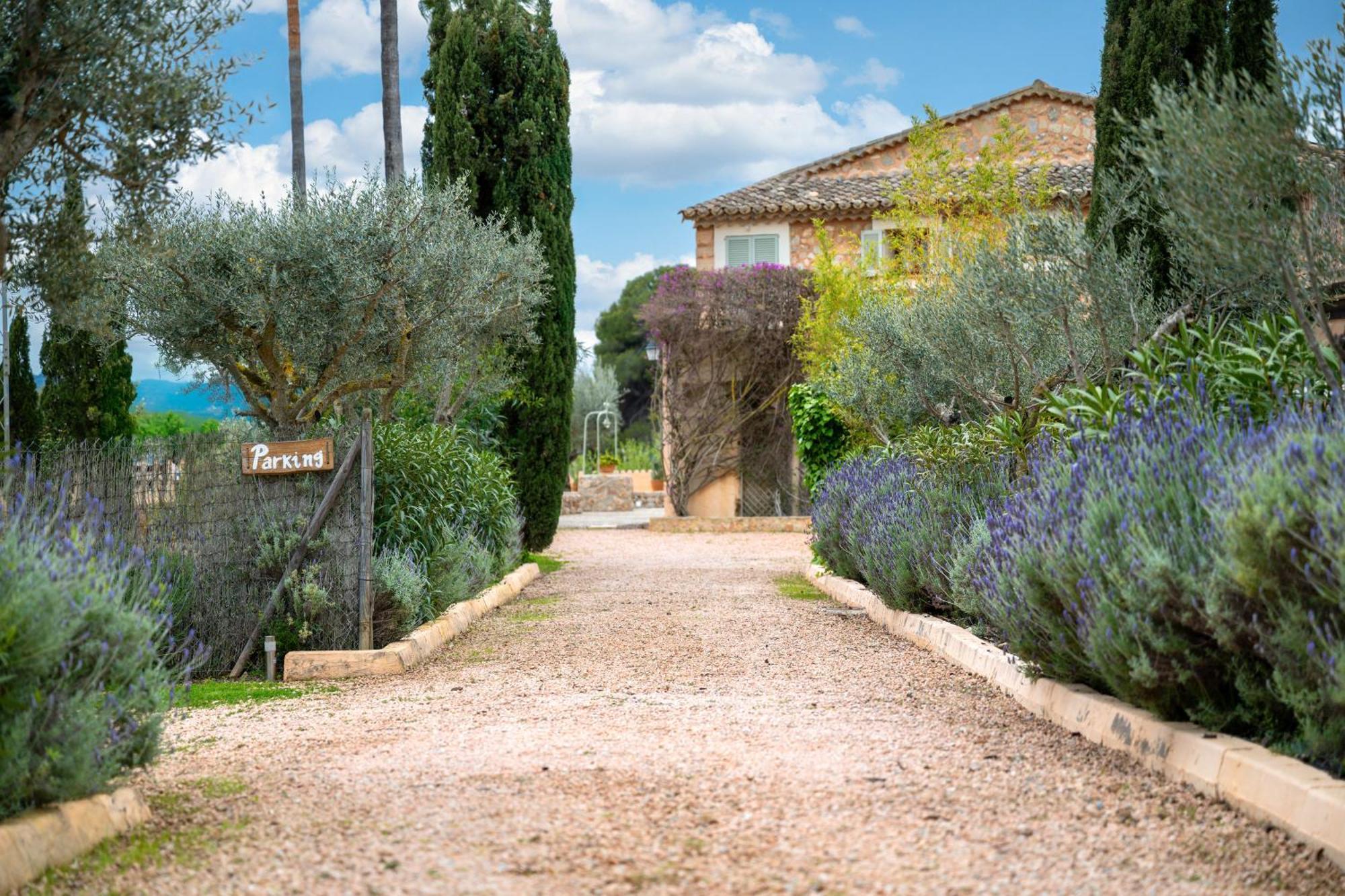 Son Bauzanet Villa Establiments