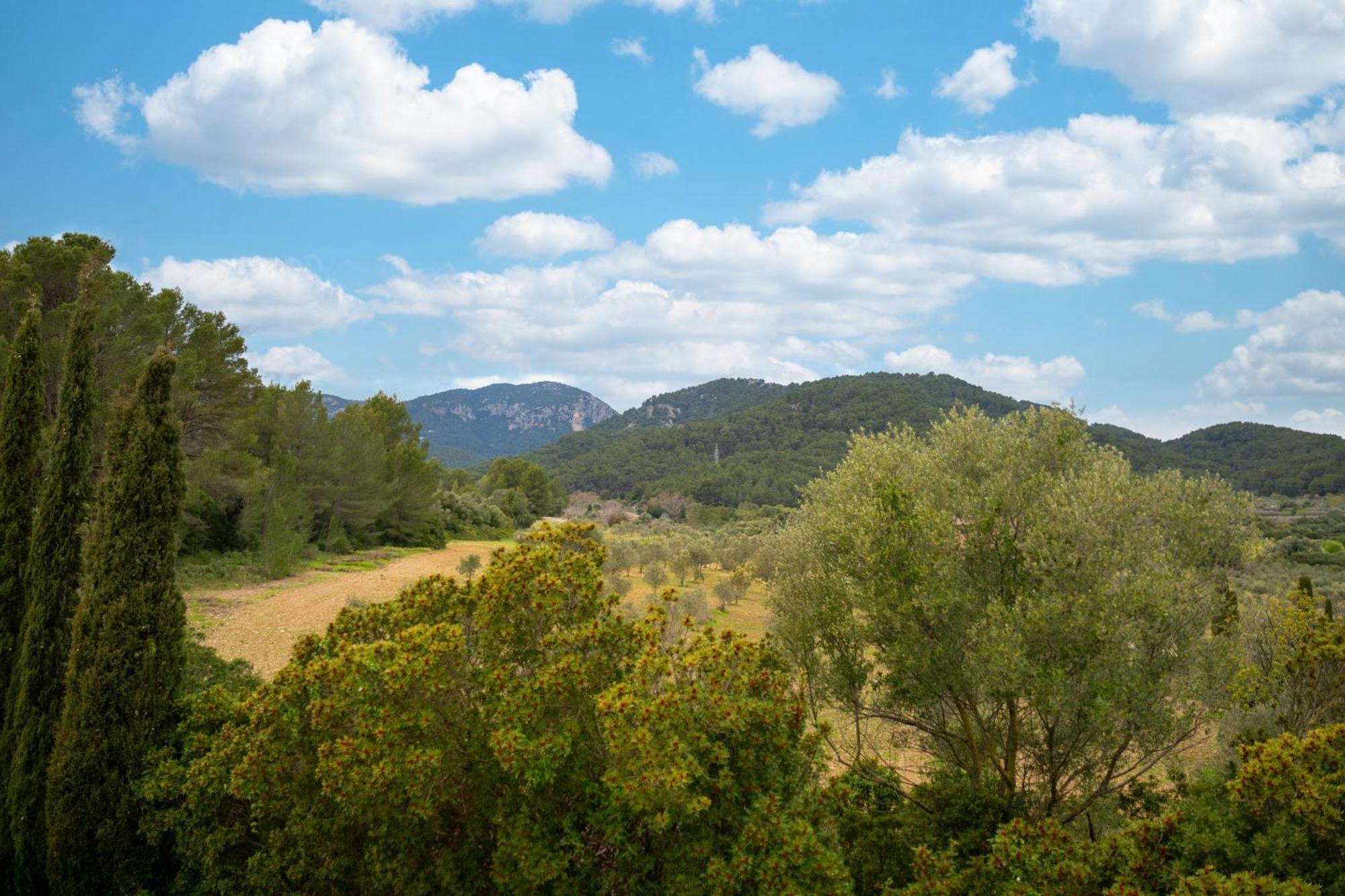 Villa Son Bauzanet Establiments