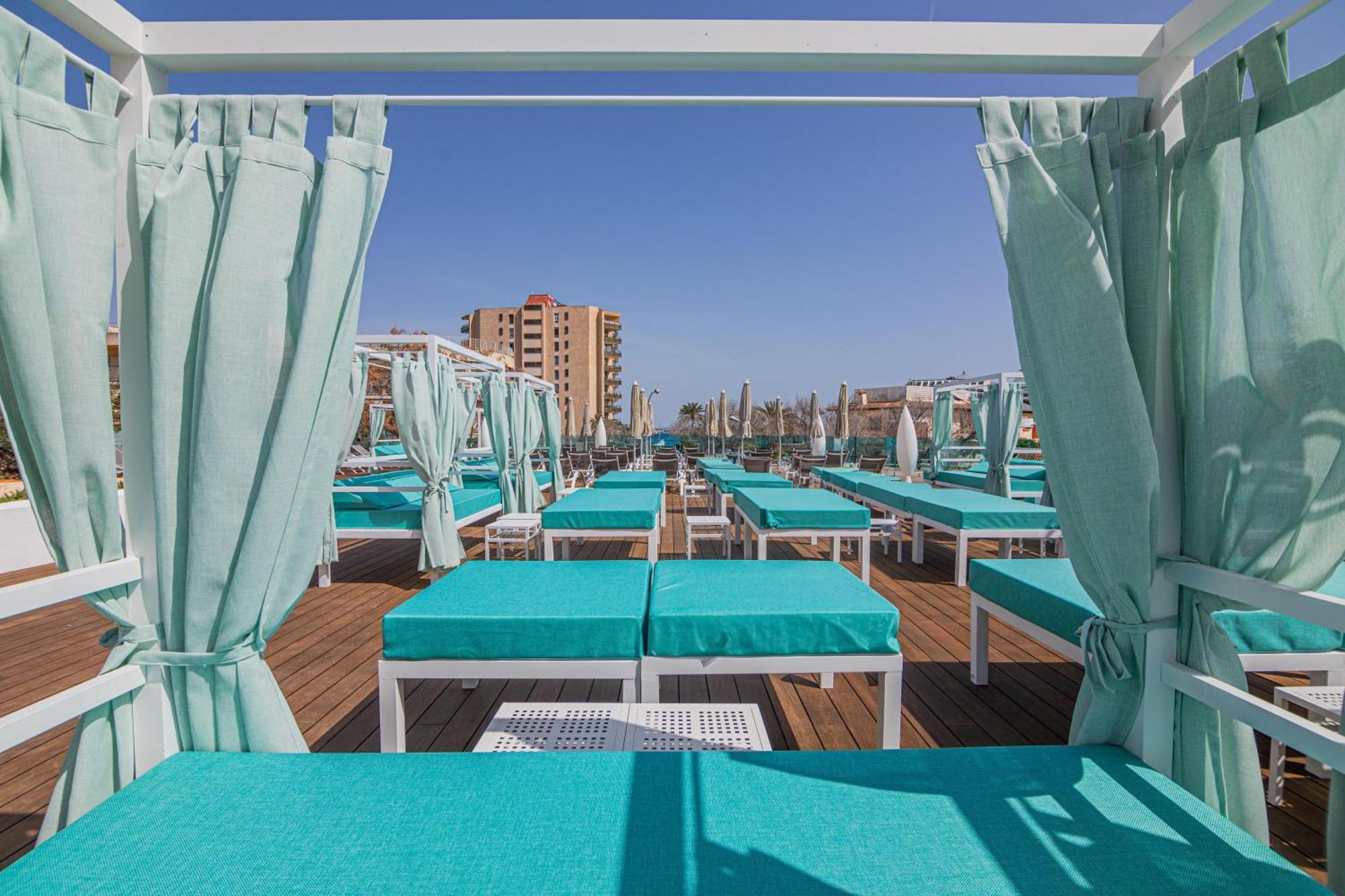 Marsenses Rosa Del Mar &