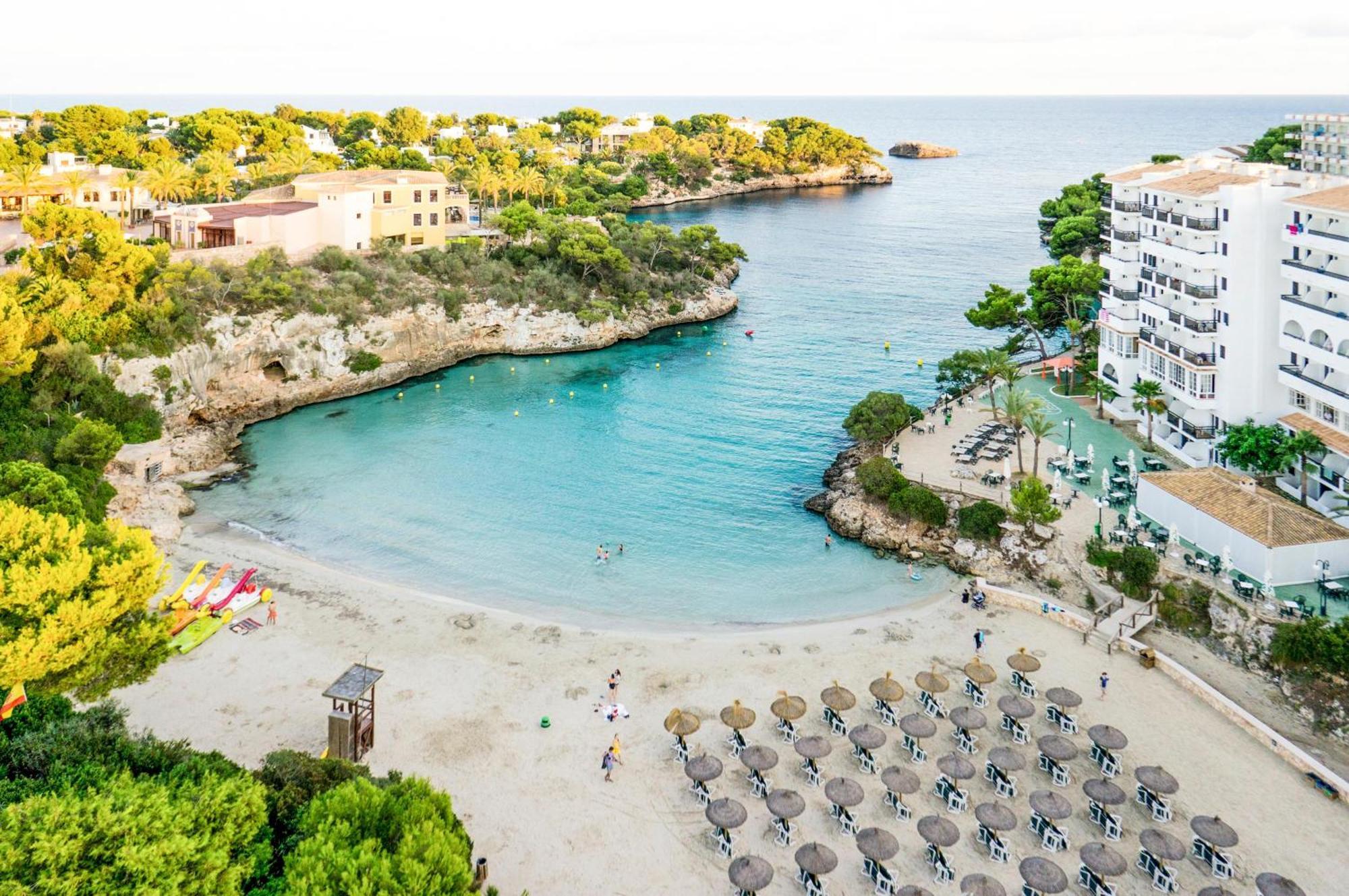 Marsenses Ferrera Blanca - Adults Only