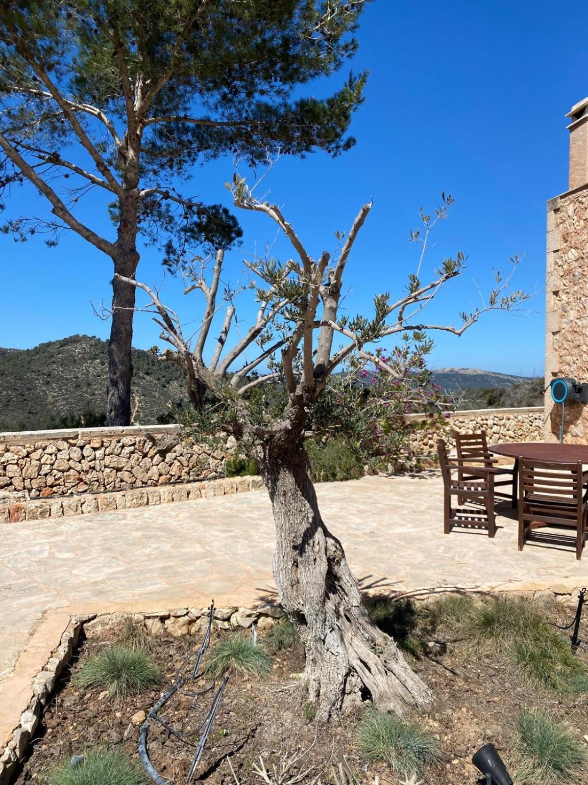 Vall D'or 360 Degrees Nature View *