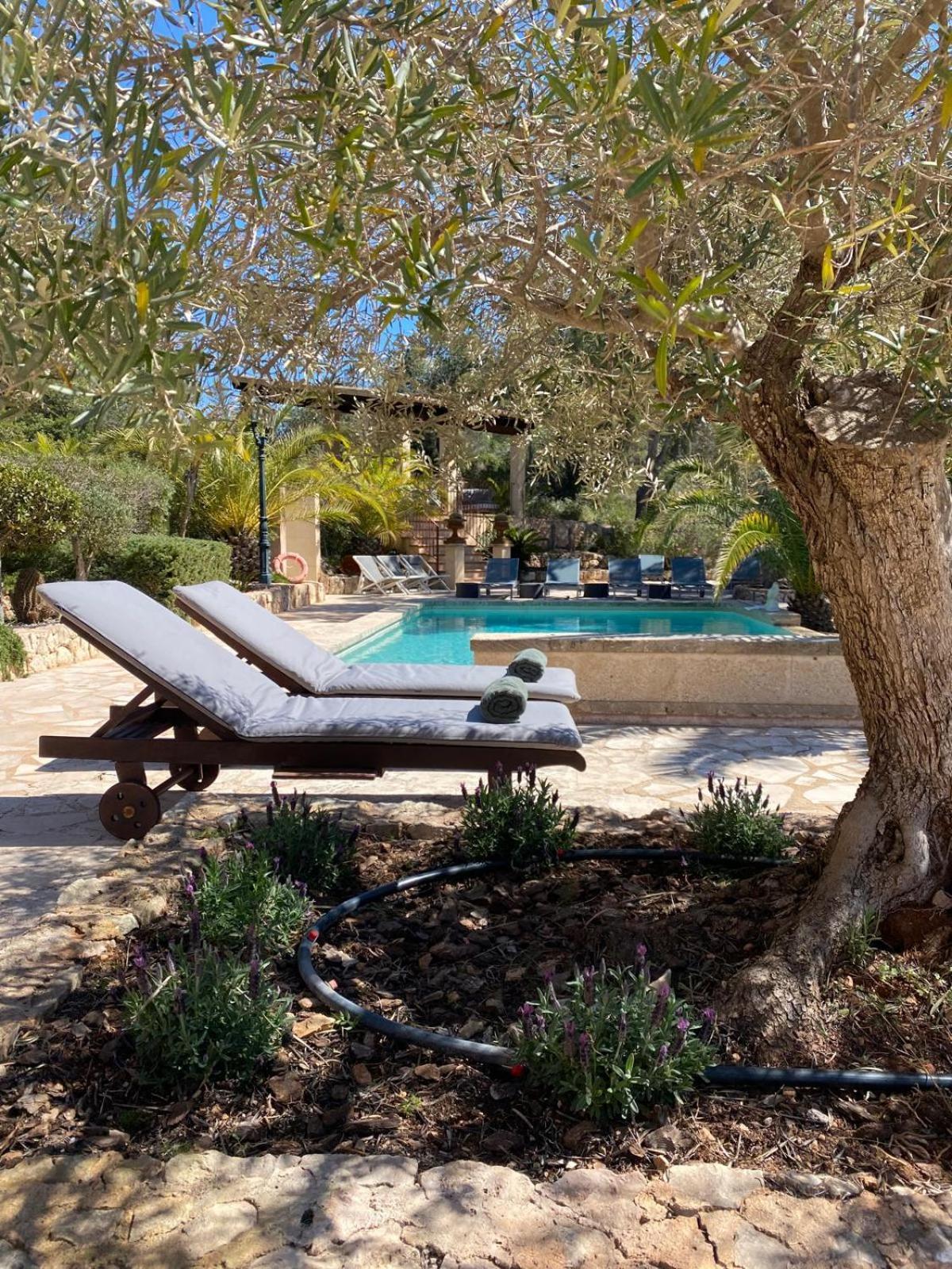 Villa Vall D'or 360 Degrees Nature View S'Horta