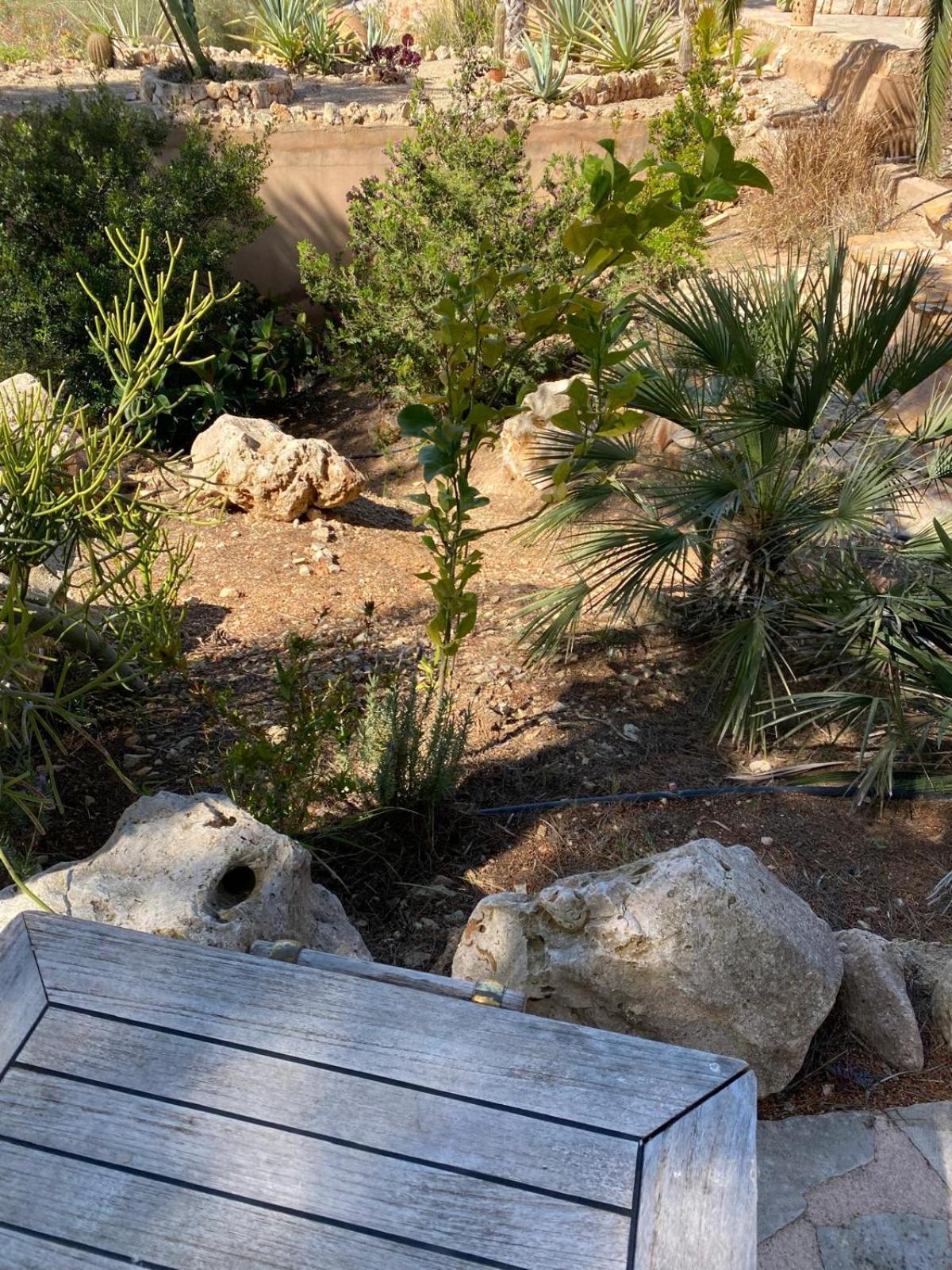Vall D'or 360 Degrees Nature View Villa S'Horta