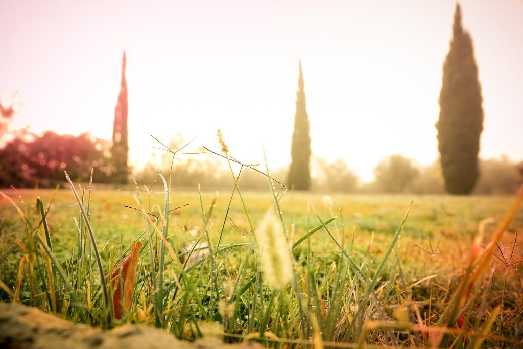 Agroturismo Son Miranda - La Organic Sencelles