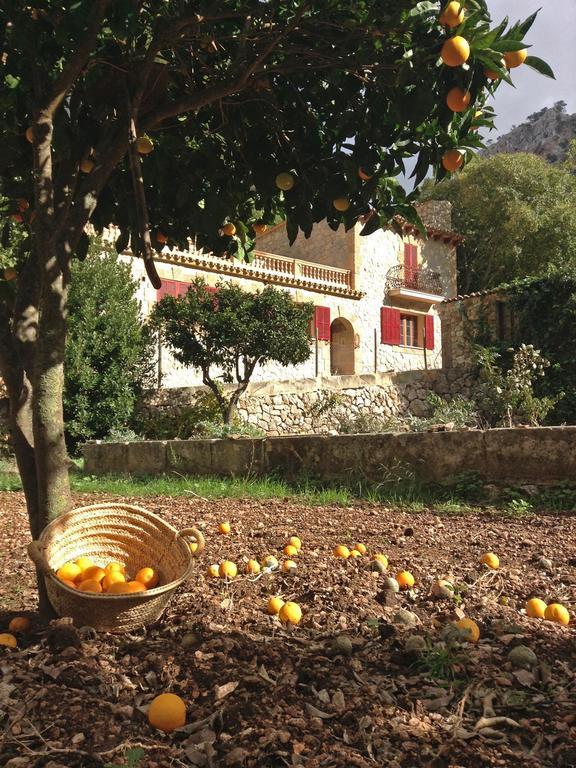 Ses Fontanelles