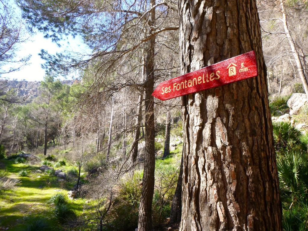 Pensión Ses Fontanelles *