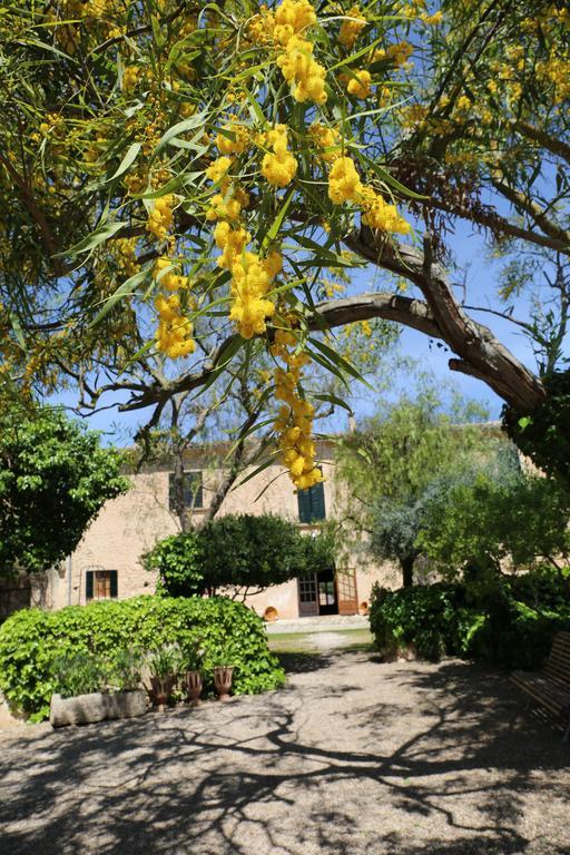 Oliver Moragues Grandhouse & Vineyard *