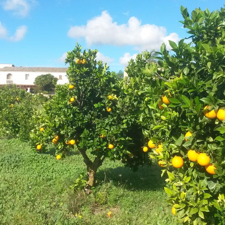 Paulino