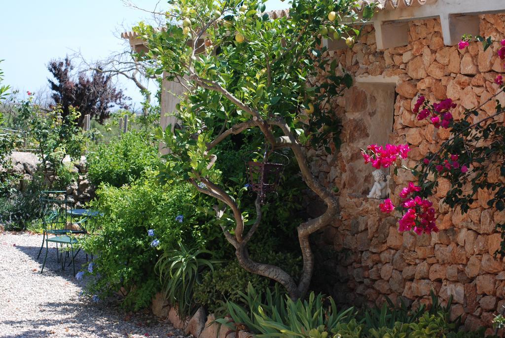 Paulino Casa rural