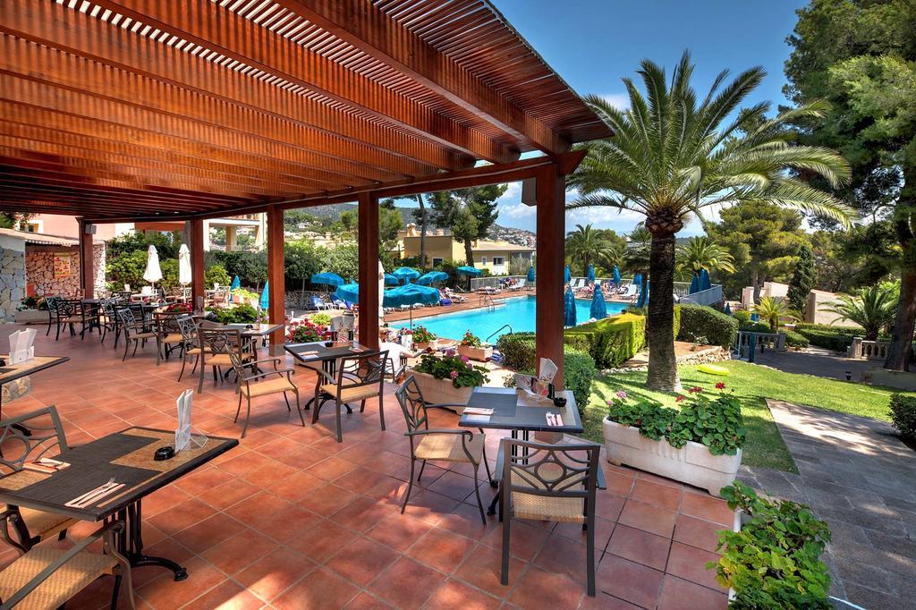 Bonanza Park By Olivia Collection