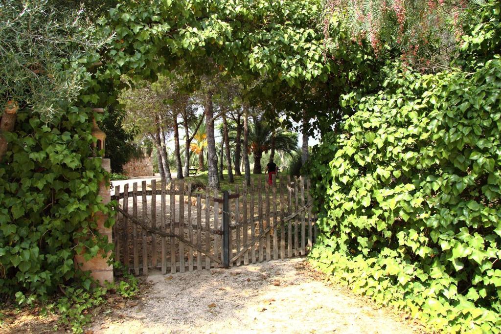 Petit Es Figueral 3* Campos (Mallorca)