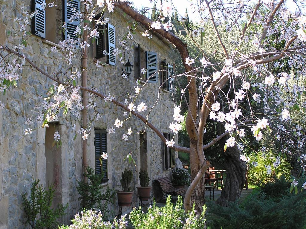 Agroturismo S'olivar Estellencs (Estellenchs)