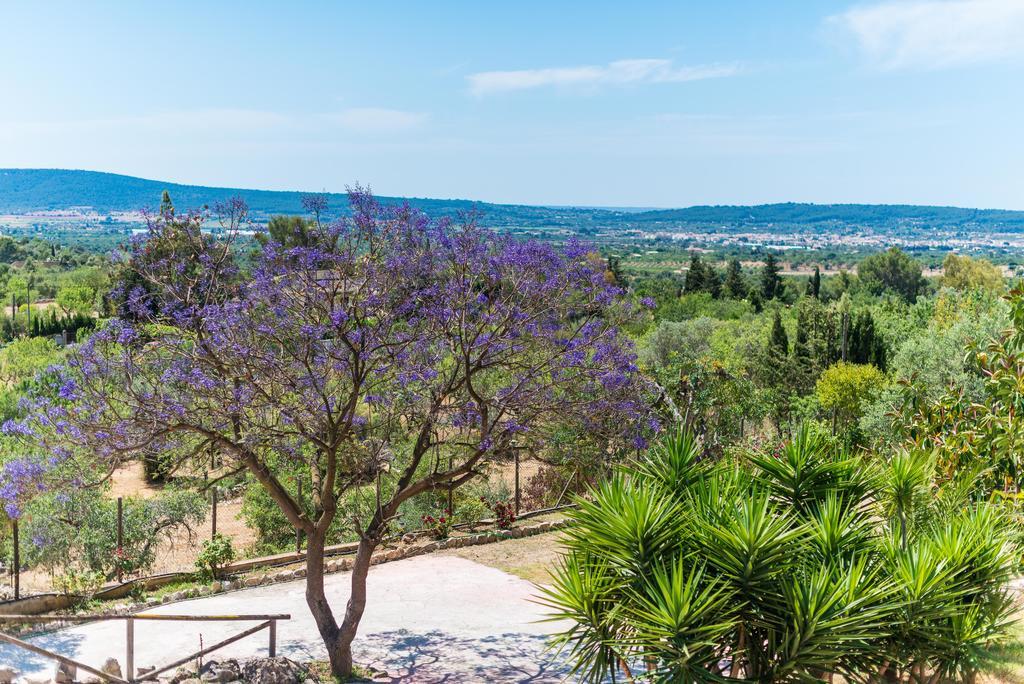 Villa Es Pinar