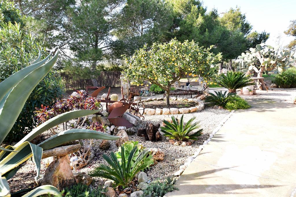 Hort De Na Barrala Ses Covetes
