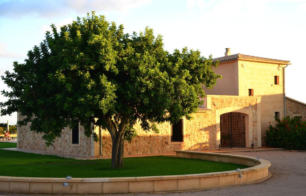 Finca Sol Y Vida Pensión