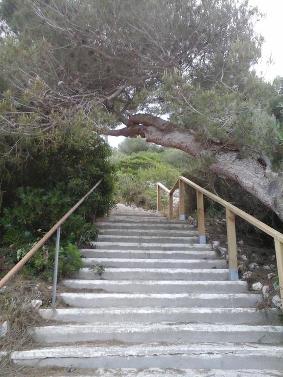 Villa Casa Damienne *