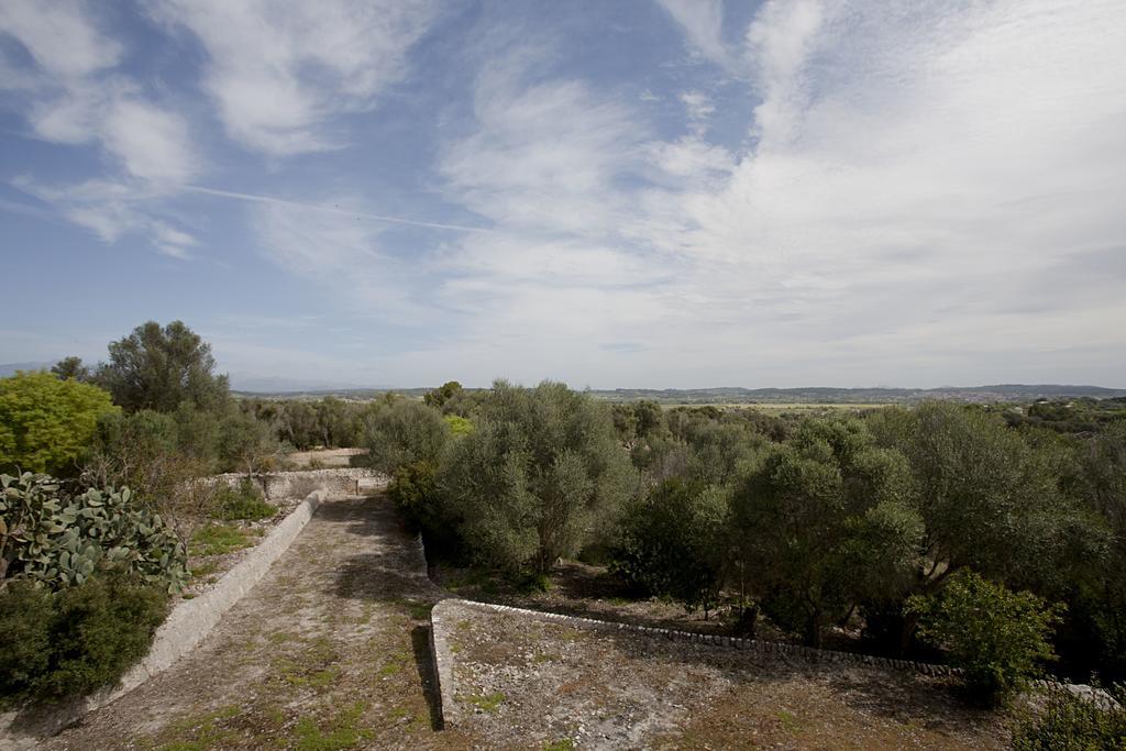 Finca Son Coll