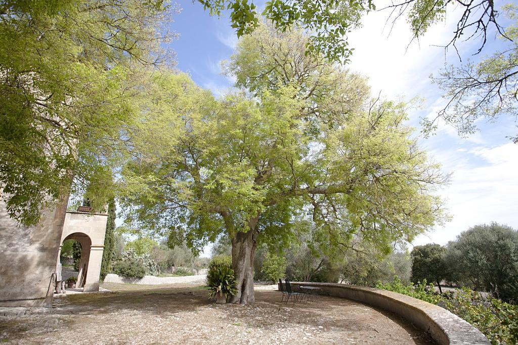 Finca Son Coll * Algaida (Mallorca)