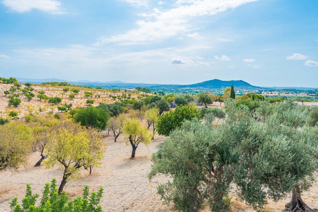 Auxella Gran * Selva (Mallorca)
