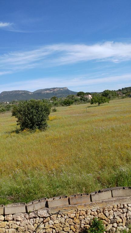 S'hort De N'andreu Country house