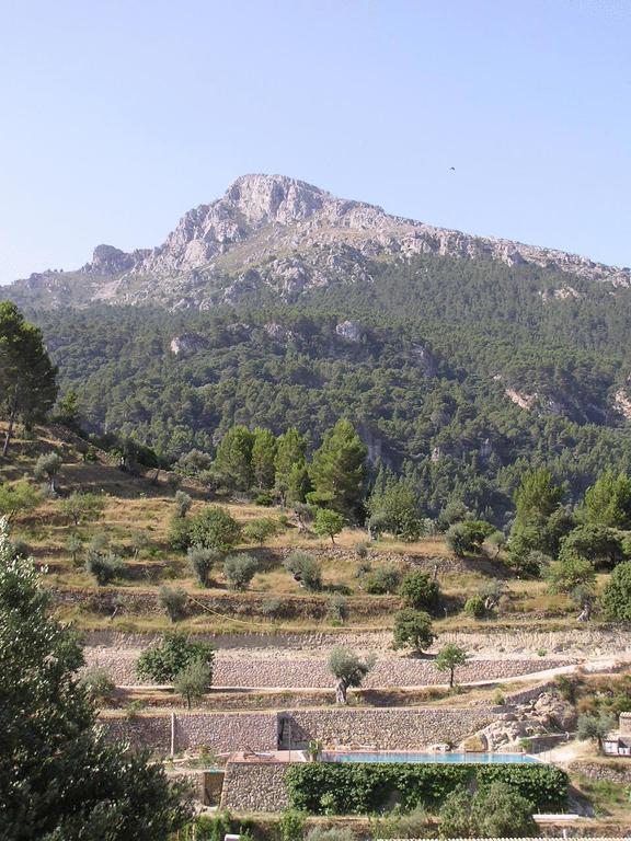 Agroturismo S'olivar * Estellencs (Estellenchs)