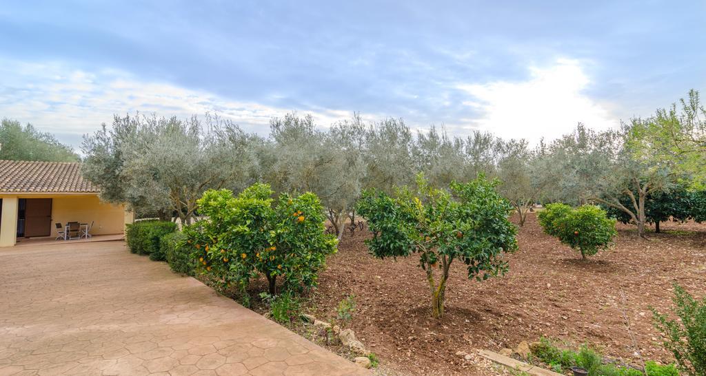 Villa Sa Coveta Algaida (Mallorca)