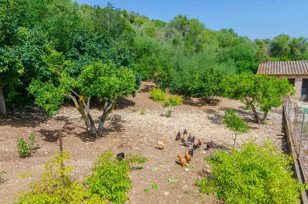 Villa Ses Pedres