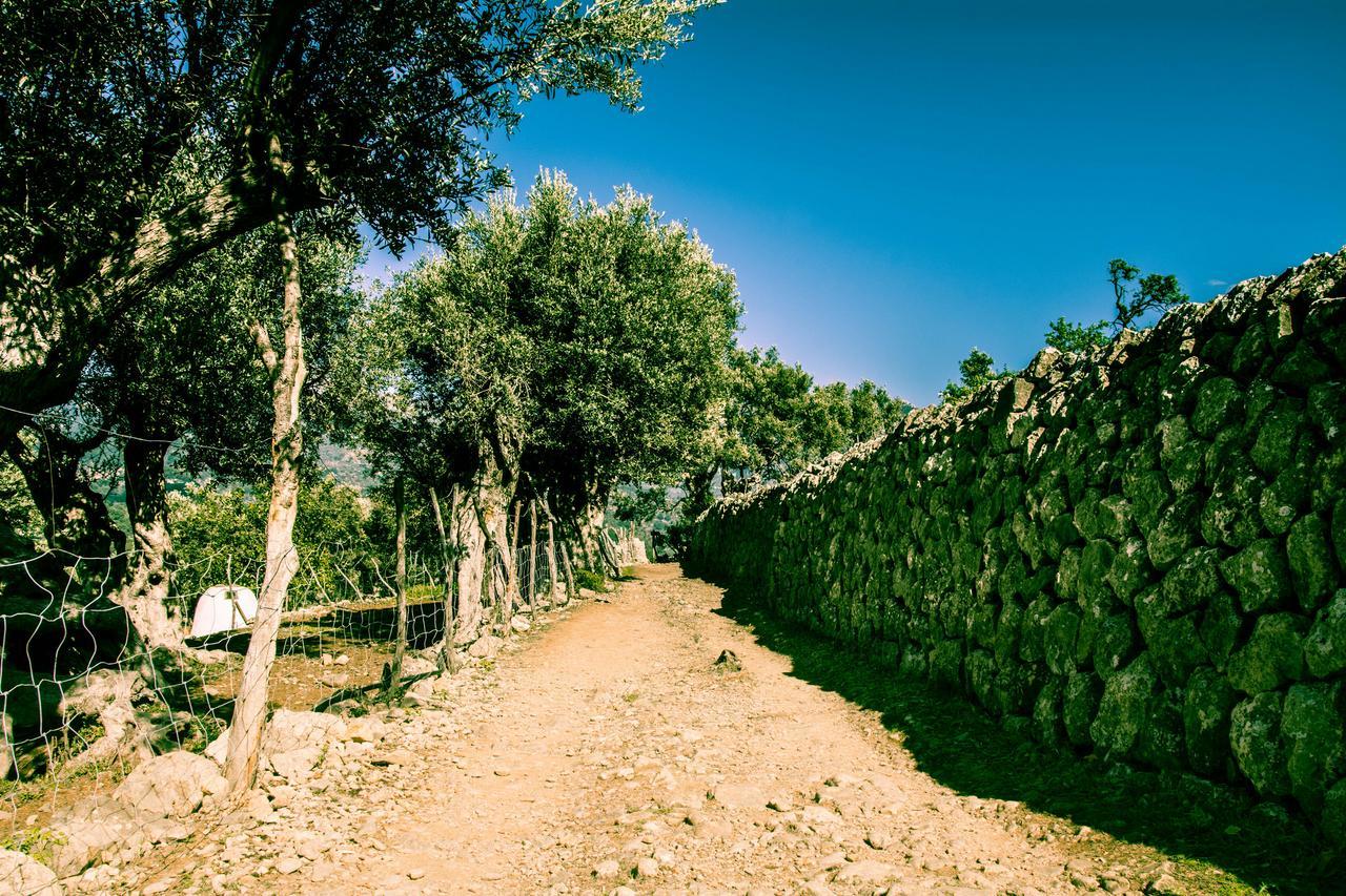 Hostel Hostel Soller Soller