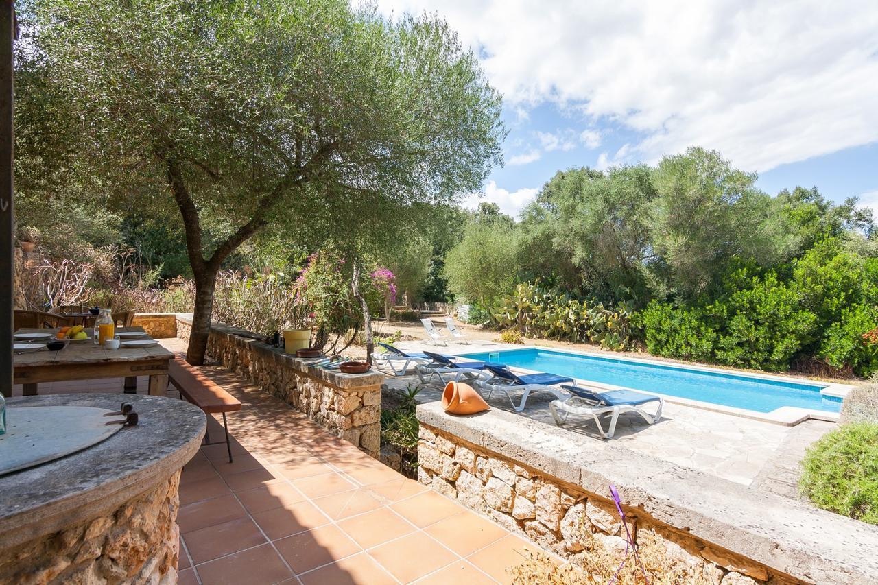 Gallet * Costitx (Mallorca)