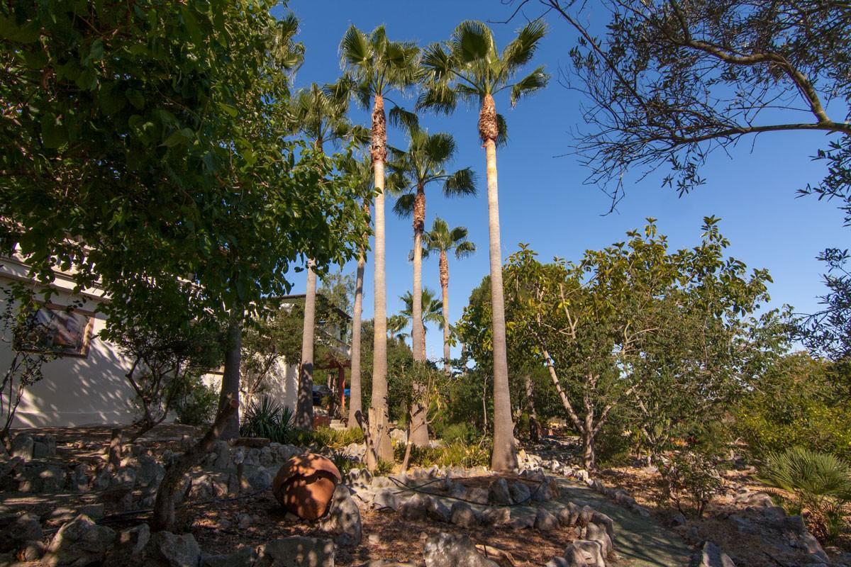 Villa Can Marti Alcudia (Mallorca)