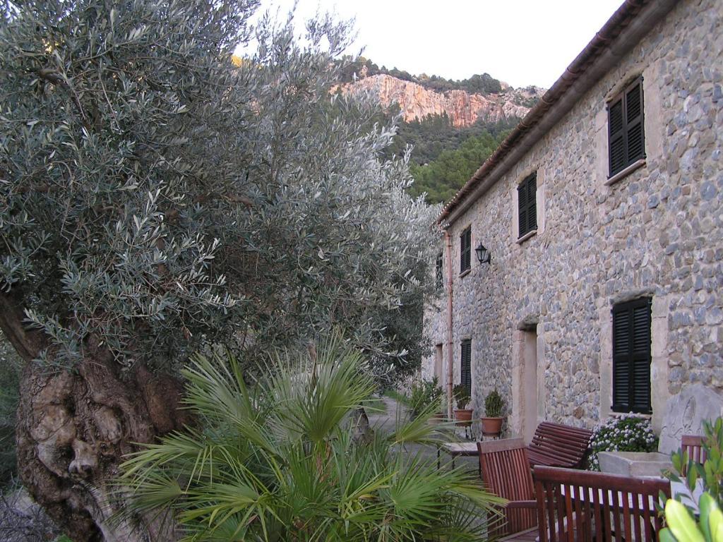 Agroturismo S'olivar Estellencs (Estellenchs)