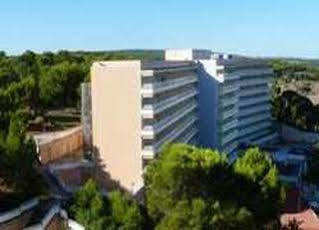 Hotel Fergus Pax