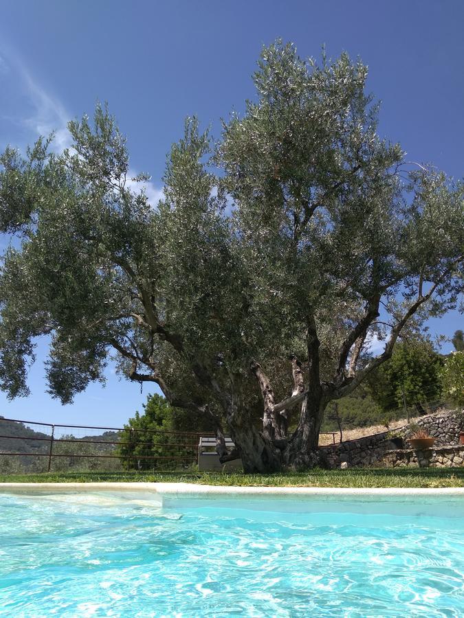 Сasa de vacaciones Casa Montaura Mancor del Valle