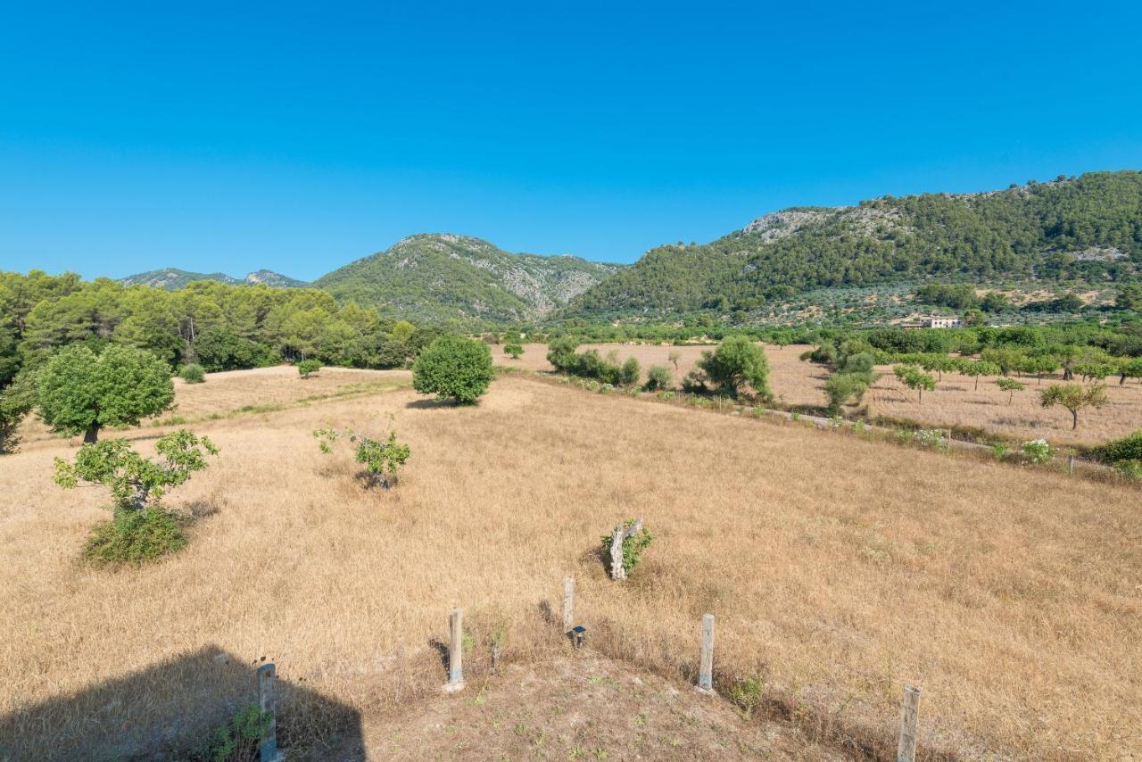 S'era * Campanet
