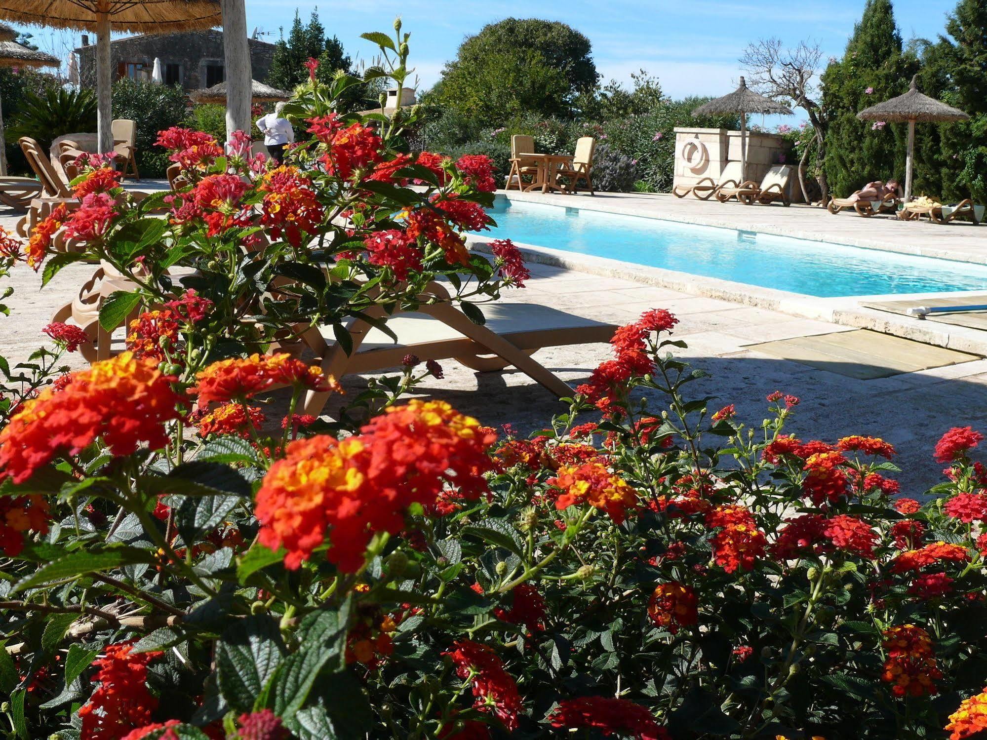 Hotel Sa Carrotja - Adults Only Las Salinas