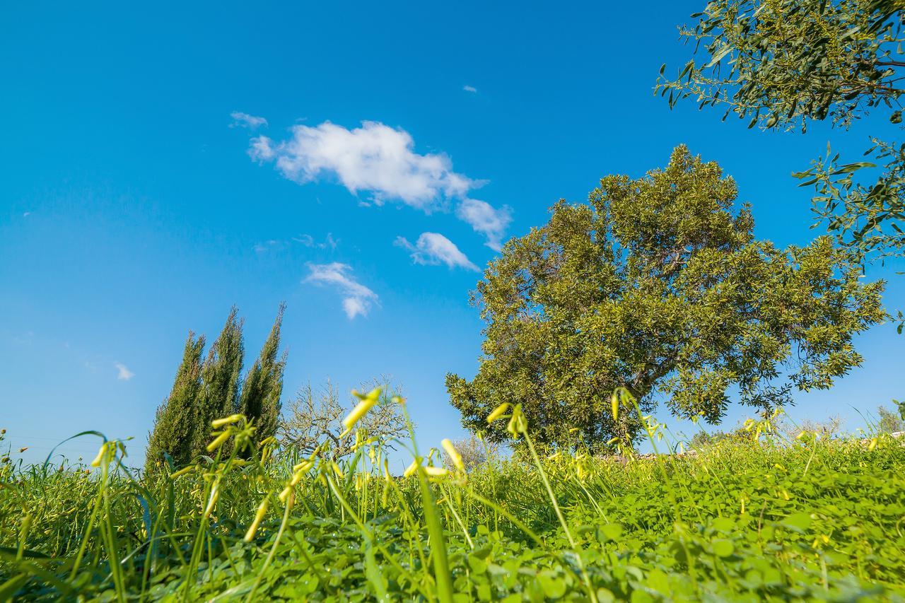Finca Son Prohens Villa Felanitx