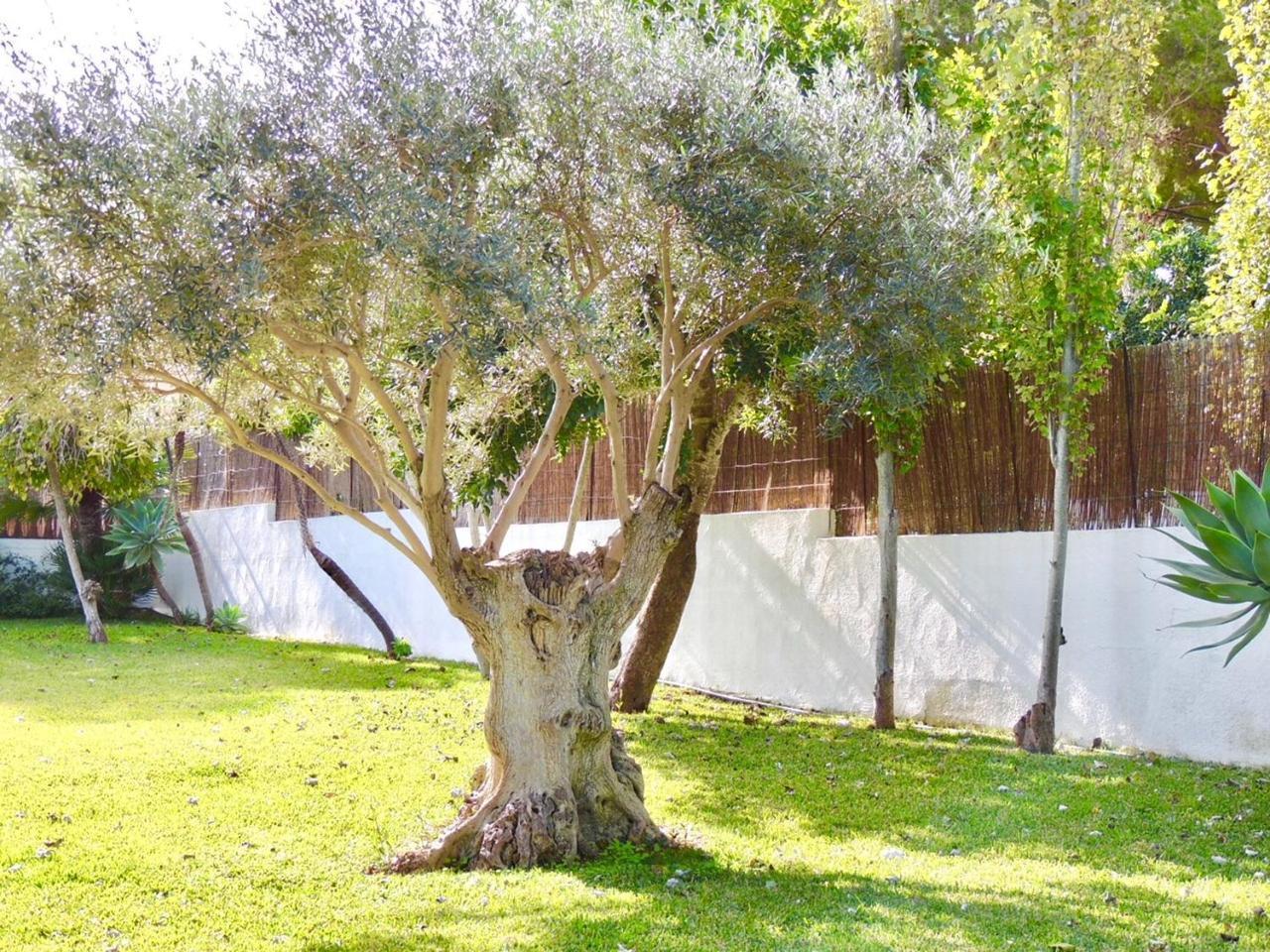 Villa Rocamar, Sa Pedruscada