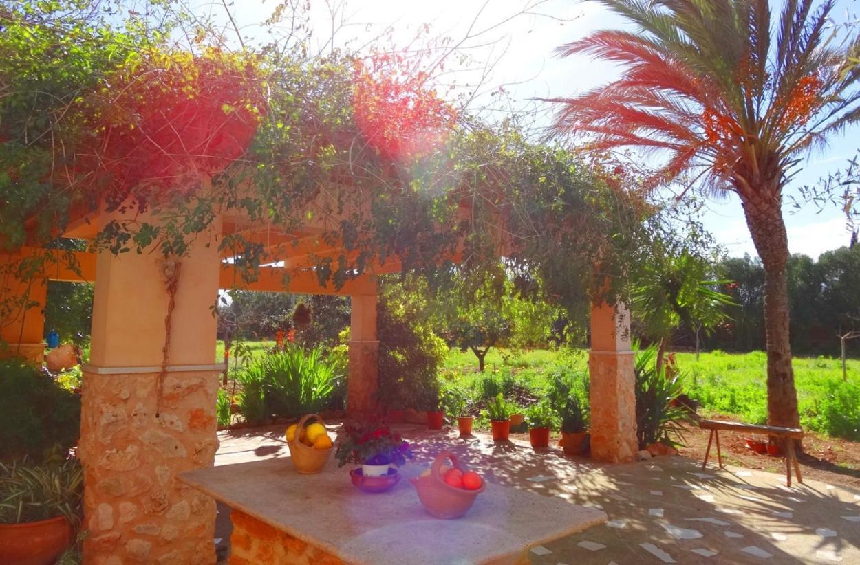 Villa Son Antem
