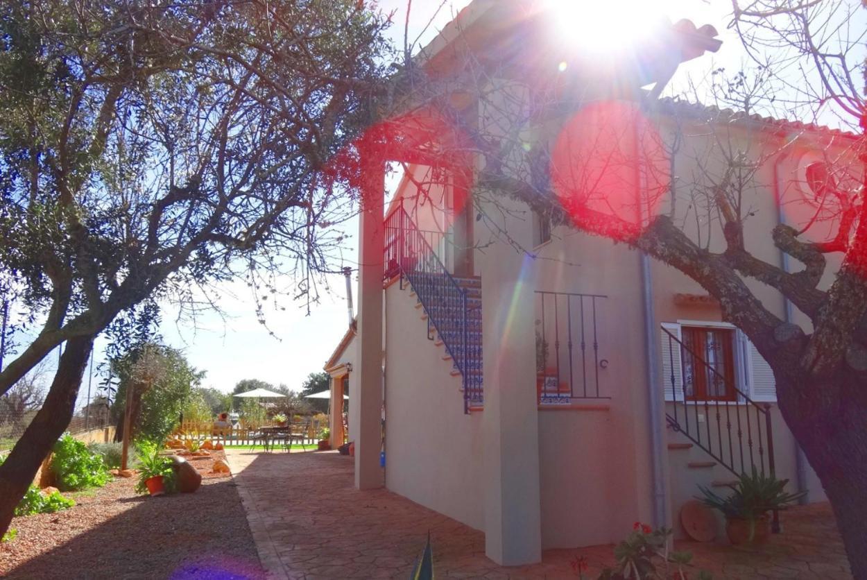 Villa Son Antem Campos (Mallorca)