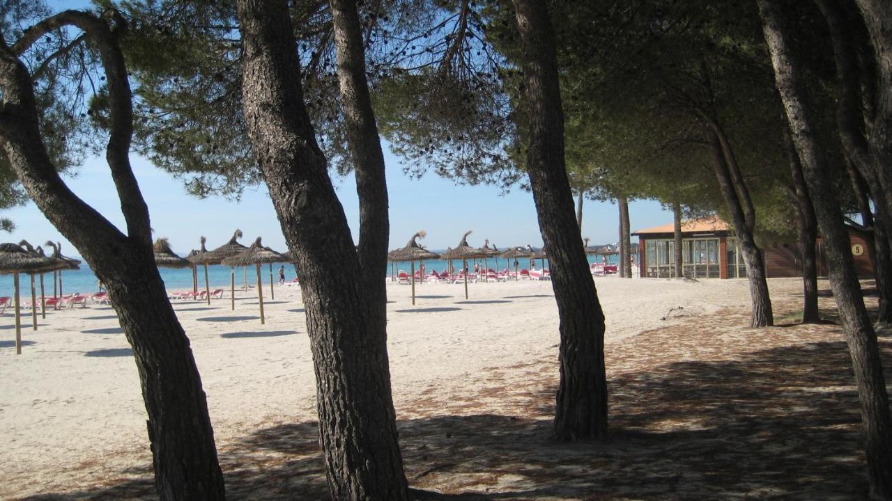 Minerva Puerto de Alcúdia