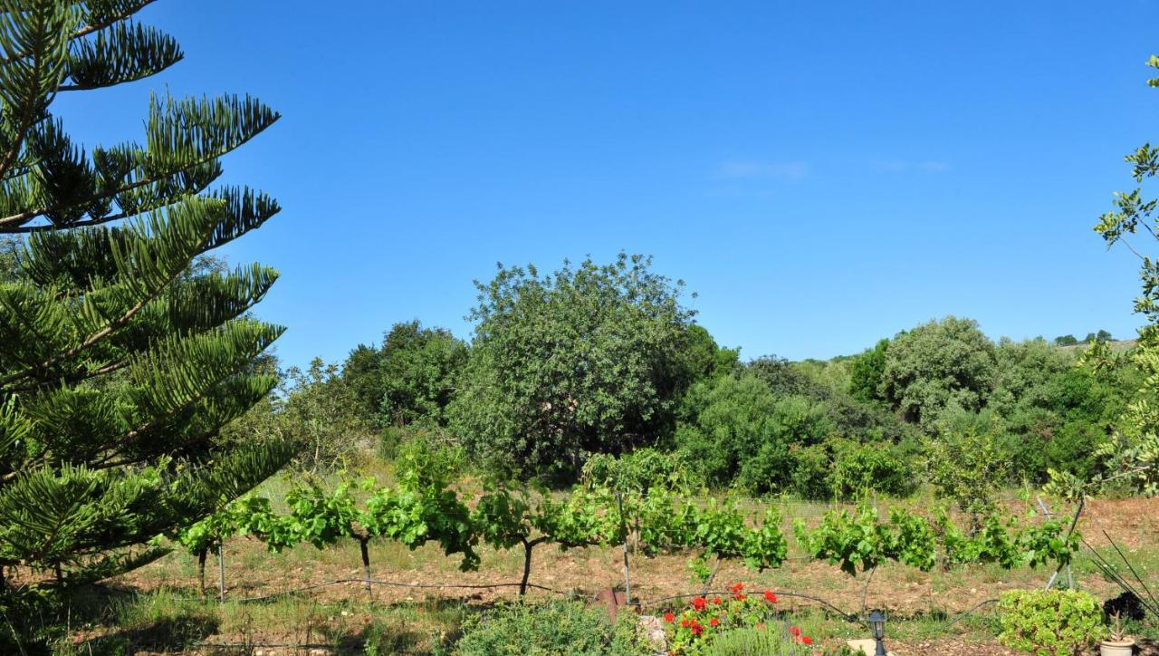 Finca Cavall De Mar * Manacor (Mallorca)