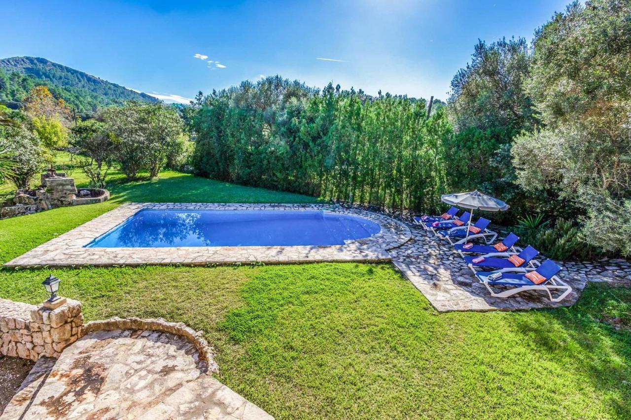 Tomas Villa