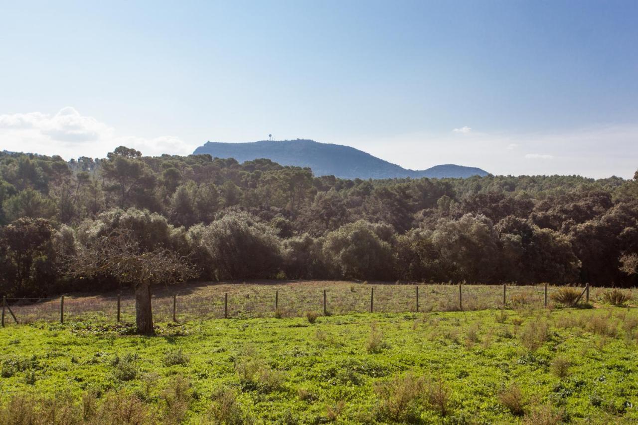 Oliver Moragues Grandhouse & Vineyard Algaida (Mallorca)