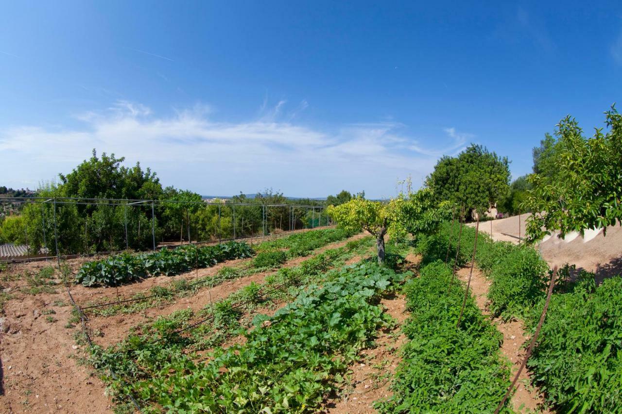 Villa Putxet Inca (Mallorca)