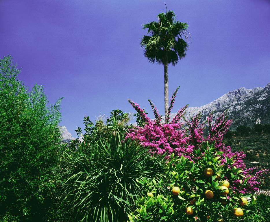 Hotel Verdera (adults Only) Fornalutx