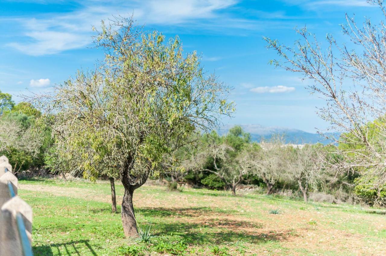 Villa Son Rossinyol Llubí