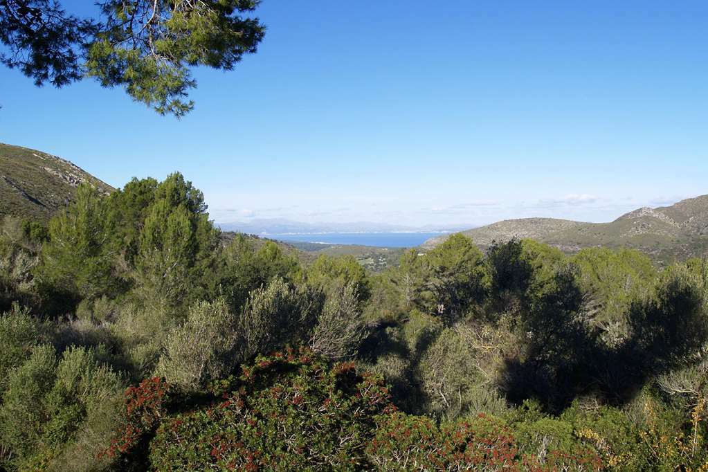 Hotel Carrossa & Arta