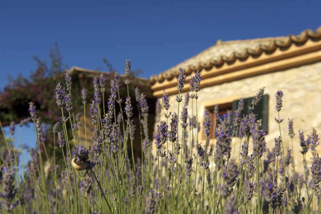 Hotel Carrossa & Arta