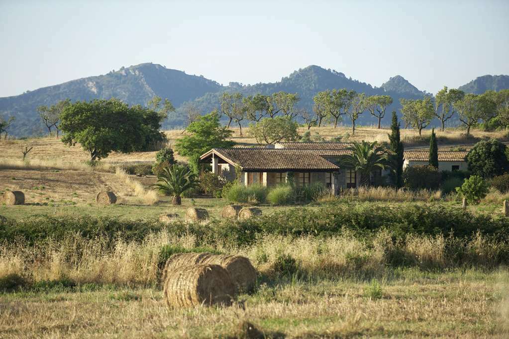 Hotel Carrossa & 5*