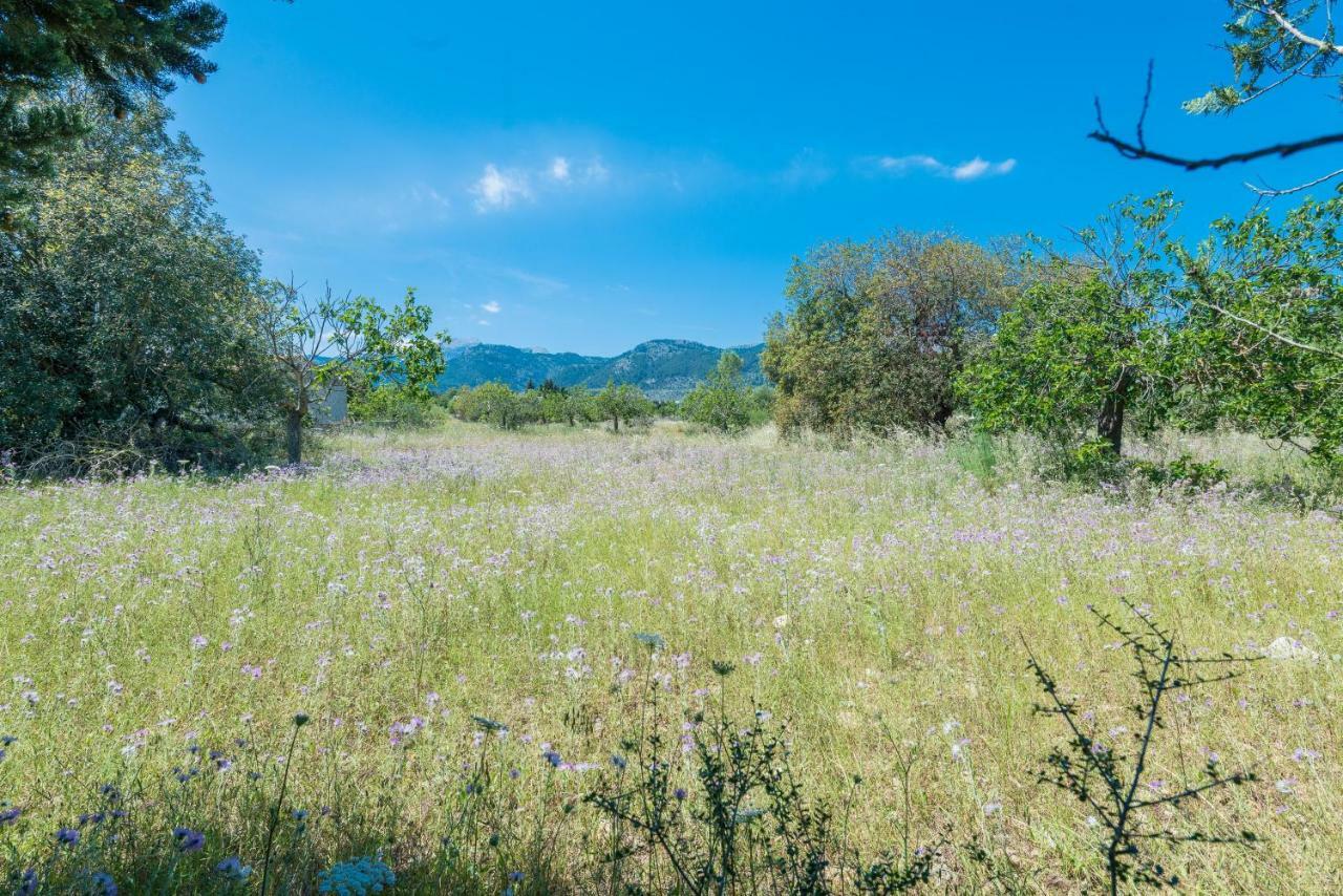 Villa Ca Na Sioneta Campanet